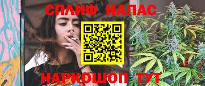 молекула духа Славянск-на-Кубани