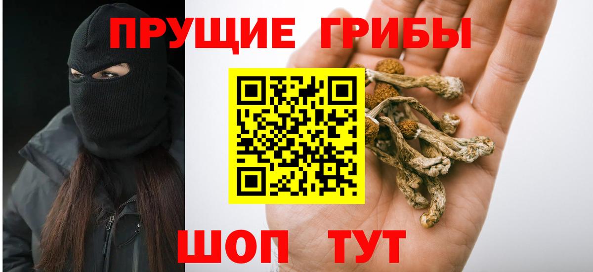 где купить   Вход с VPN  Нефтекумск  Псилоцибиновые грибы мицелий 
